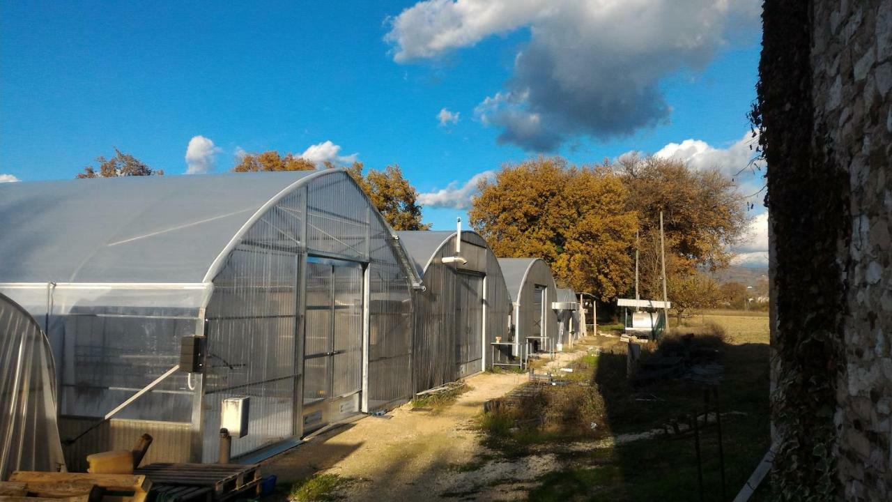 Agriturismo " Le Serre" Spello Zewnętrze zdjęcie
