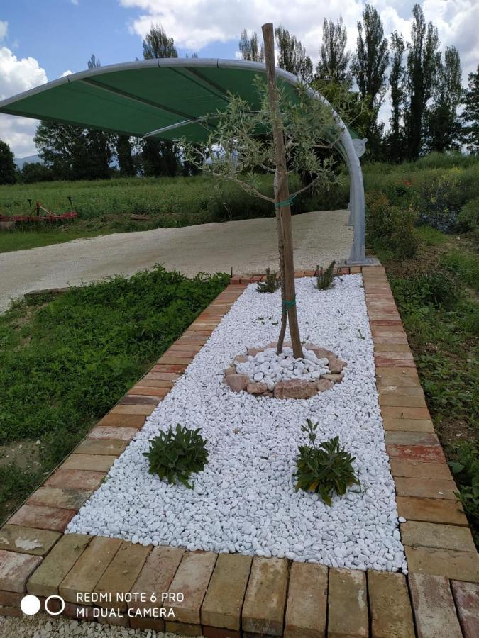 Agriturismo " Le Serre" Spello Zewnętrze zdjęcie
