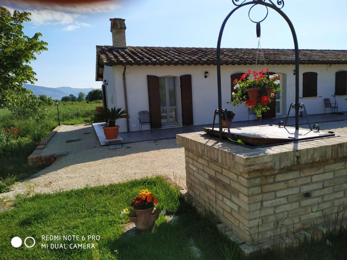 Agriturismo " Le Serre" Spello Zewnętrze zdjęcie