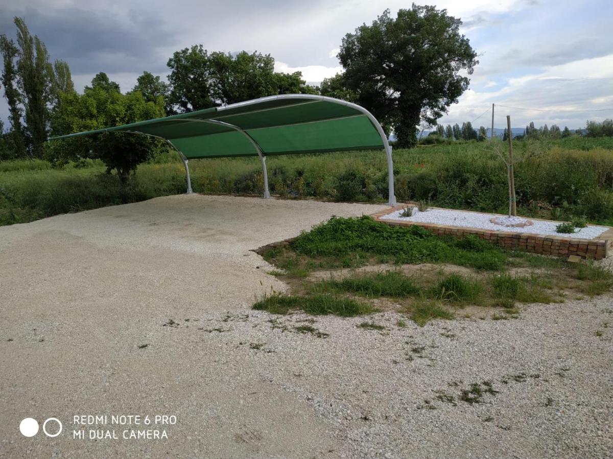 Agriturismo " Le Serre" Spello Zewnętrze zdjęcie
