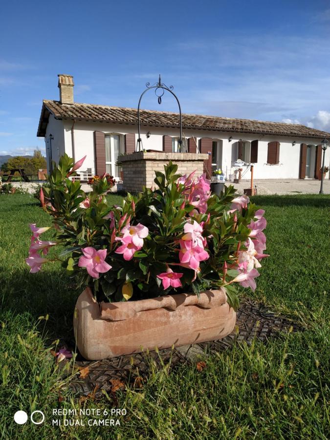 Agriturismo " Le Serre" Spello Zewnętrze zdjęcie