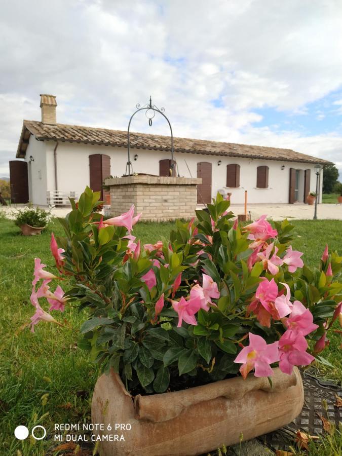 Agriturismo " Le Serre" Spello Zewnętrze zdjęcie
